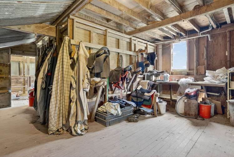 54 Edgerley Road Kaipara Flats_19