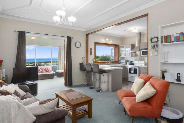 46 Tomahawk Road Andersons Bay_1