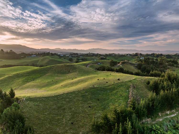 371 Esdaile Road Whakamarama_44