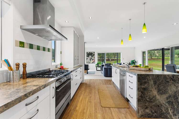 255 Austin Road Dairy Flat_8