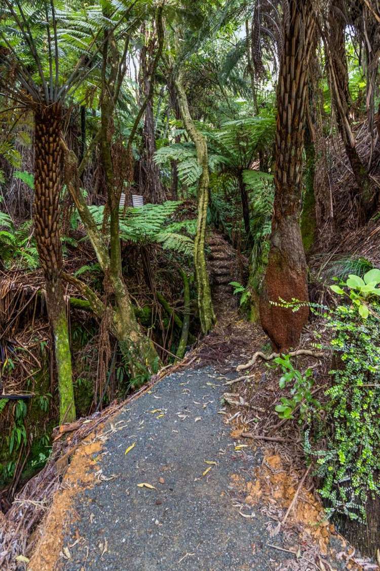 1694a Queen Charlotte Drive Linkwater_17