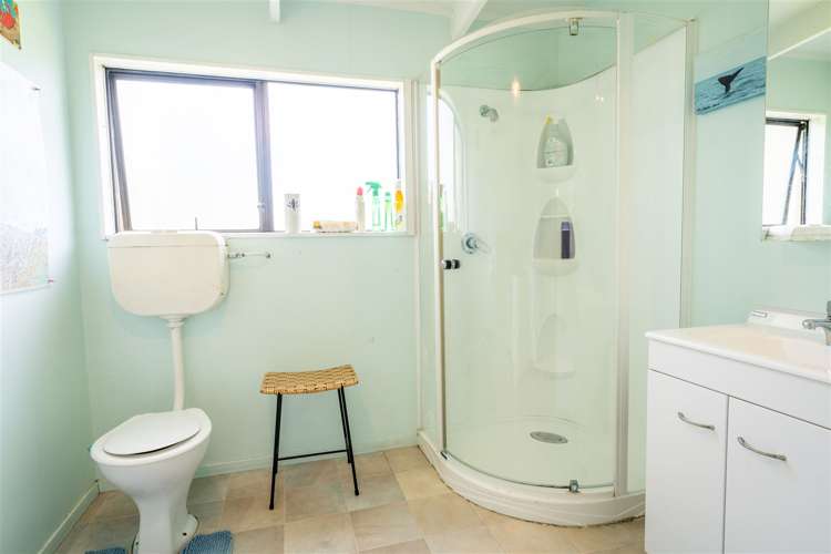 20 Flemington Street Washdyke_8