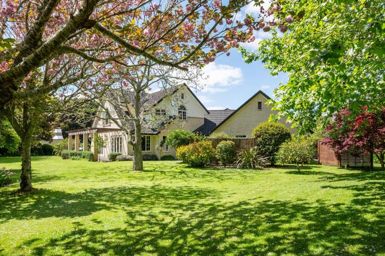 47D Poplar Lane Matangi_28