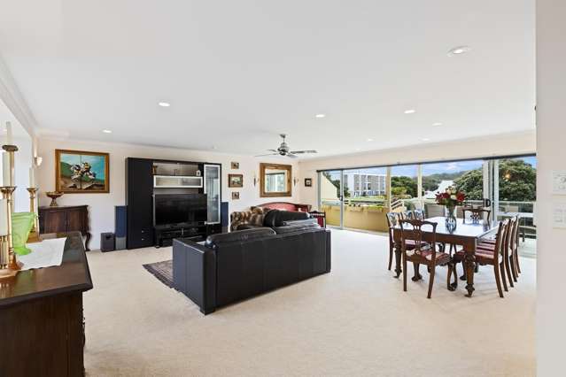 363C Hibiscus Coast Highway Orewa_4