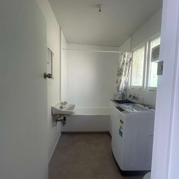 8/29 Waiapu Road Kelburn_7