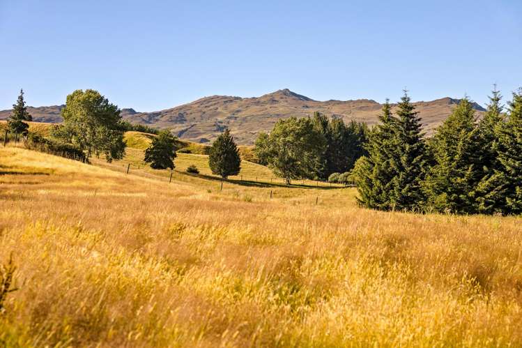 5-7 Speargrass Flat Road Speargrass Flat_12