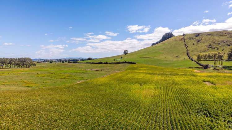 271 Cruickshank Road Tokanui_2