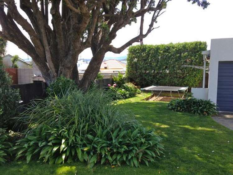 43 Inglis Street Seatoun_7