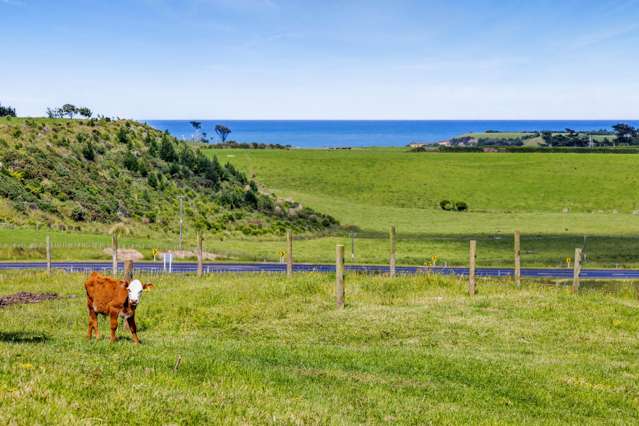 25a Livingston Road Hawera_1