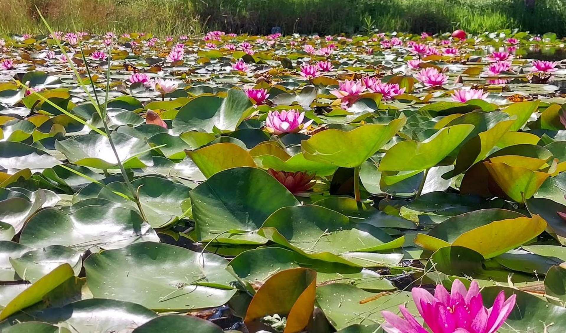 641d Ridge Road Coatesville_0