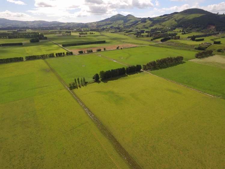 510 Gladstone Road South Allanton_4