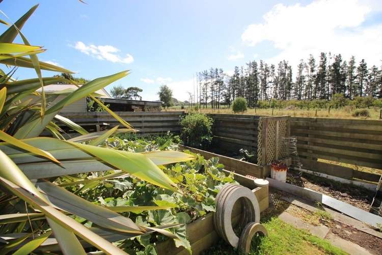 16a Flower Street Bulls_25