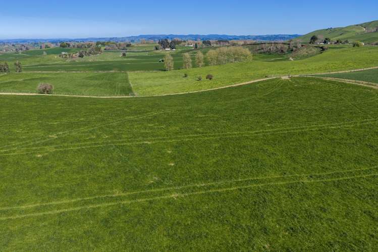 1356 Otorohanga Road, State Highway 3 Otorohanga_8