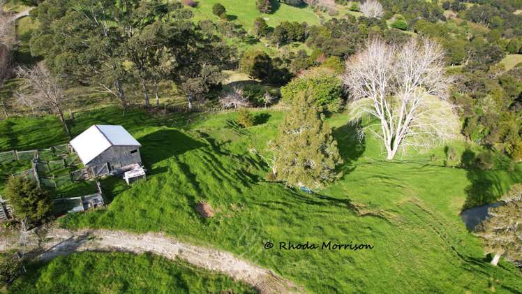 330 Franklin Road Paparoa_29