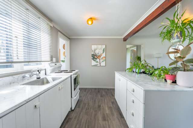 53 Main North Road Geraldine_2