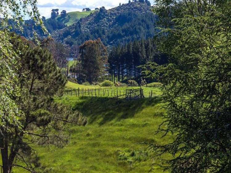 114 Dods Road Waikite Valley_18