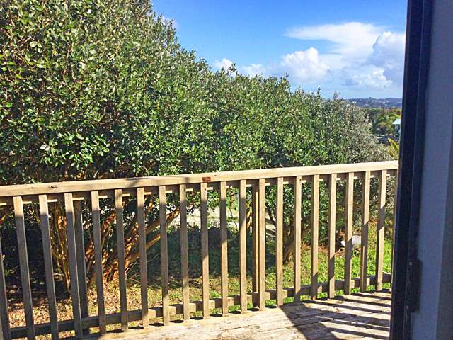 255 Rodney Street Wellsford_4