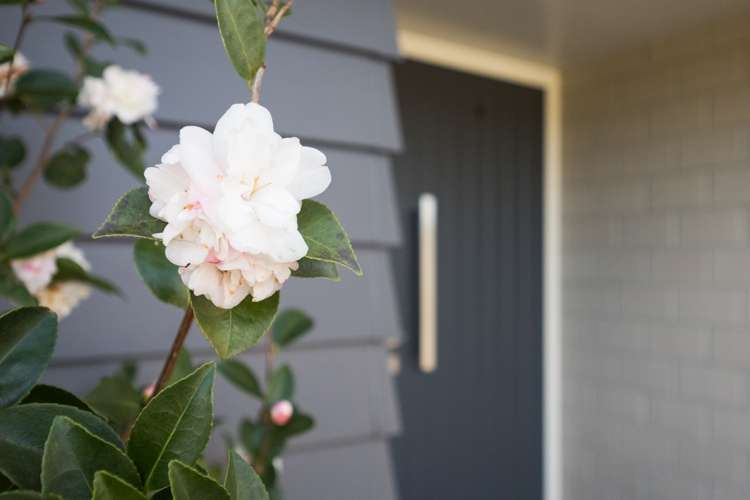 92c Pharazyn Street Feilding_18