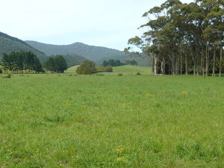 33 Larmer Road Kaitaia_8