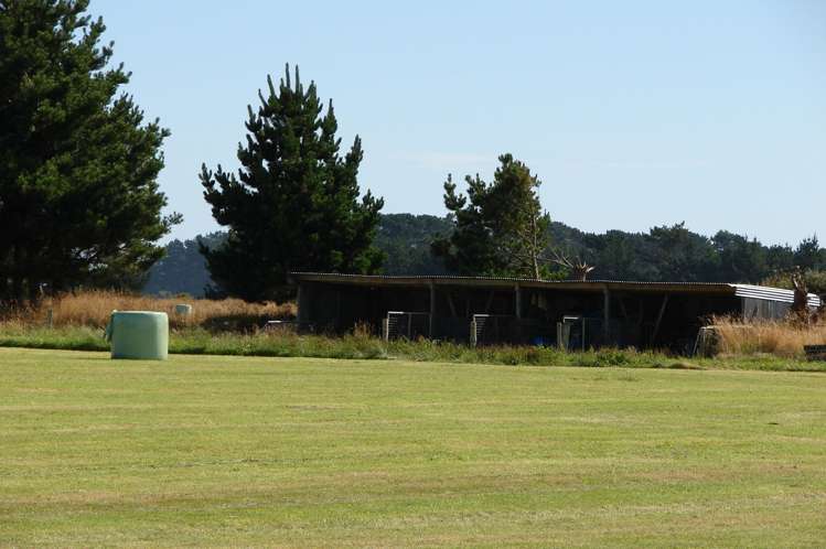 194 Talls Road Gorge Road_3