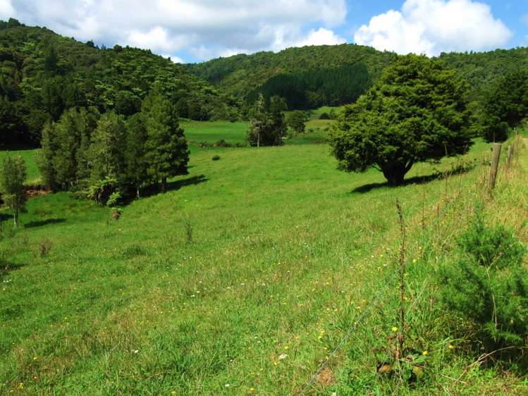 42 Matheson Road Hukerenui and Surrounds_16