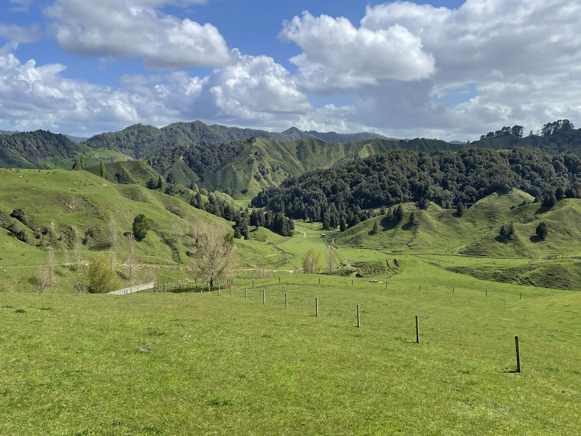 592 Waitewhena Road Ohura Ruapehu Houses for Sale One Roof