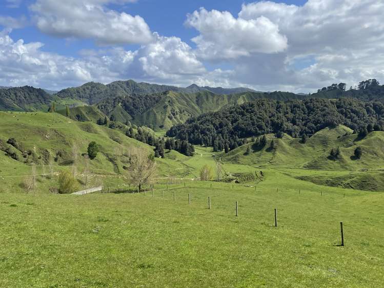 592 Waitewhena Road Ohura_0