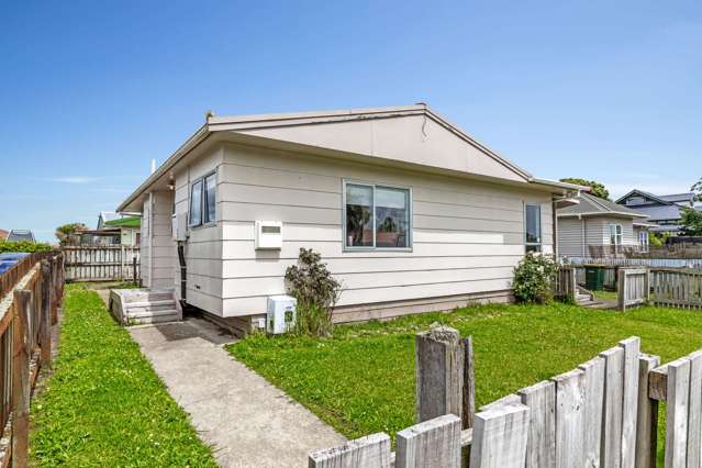 14 Guy Avenue Levin_4