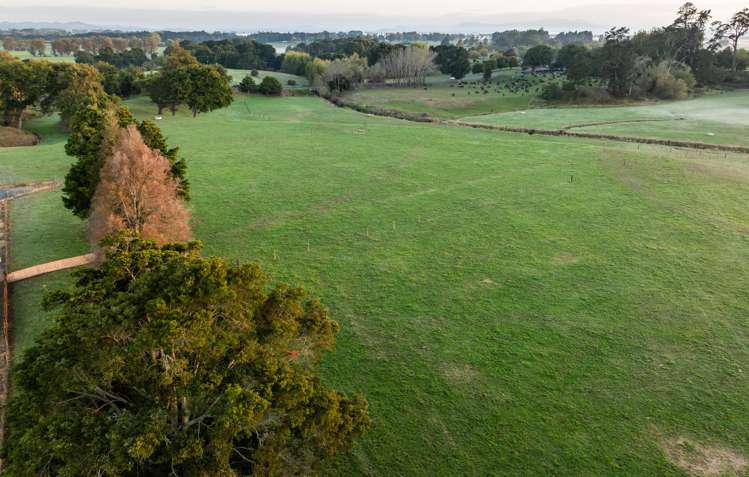 1232C Gordonton Road Gordonton_6