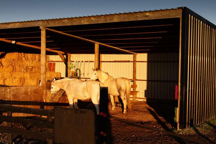490 Maharahara Road Dannevirke_19