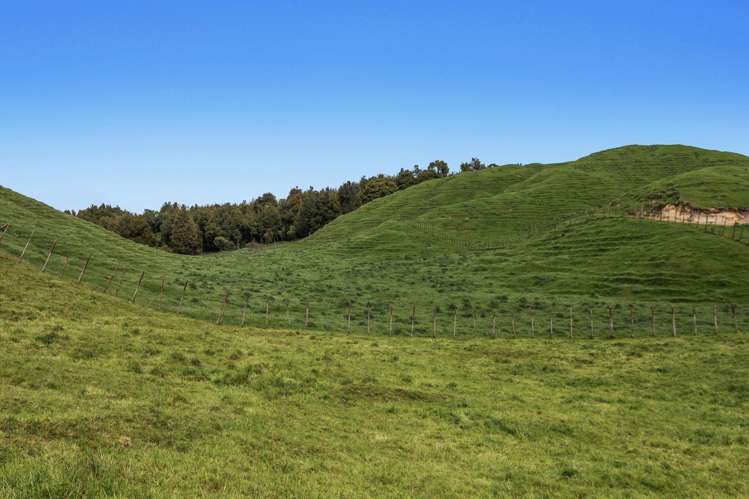 103 Rendall Road Rotoma_8