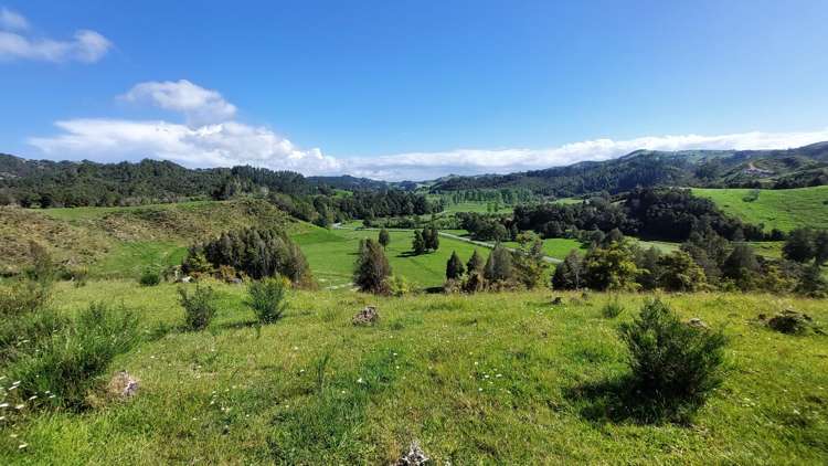 1104 Tapuhi Road Hikurangi Rd2_18