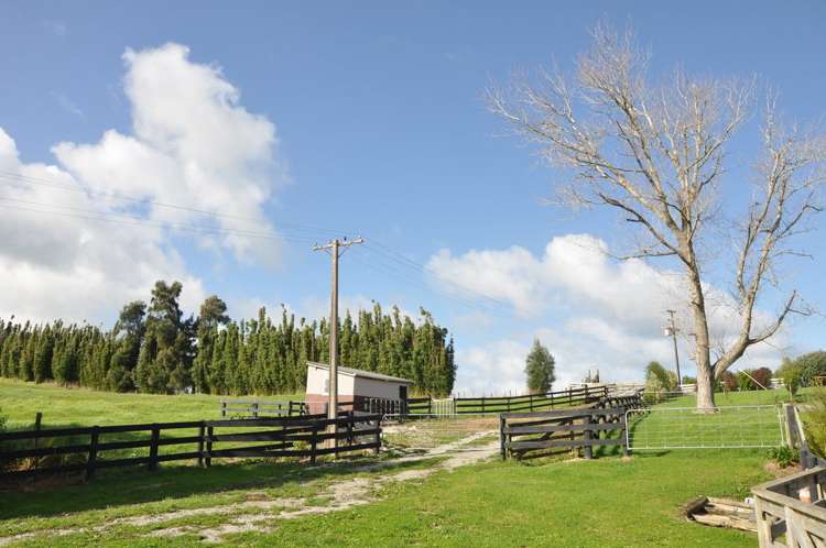 274 Partridge Road Wellsford_6