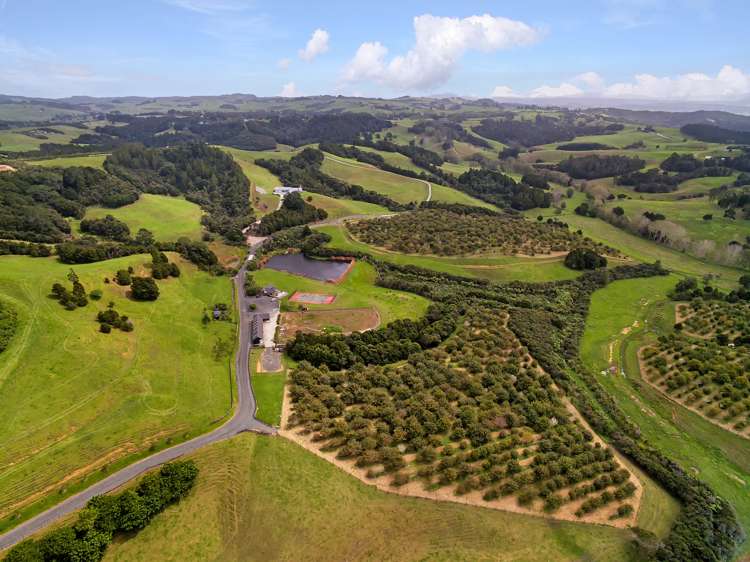 46 Aroha Road Te Arai_4