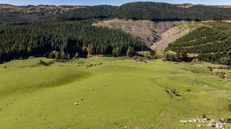 614 Omihi Road Omihi_16