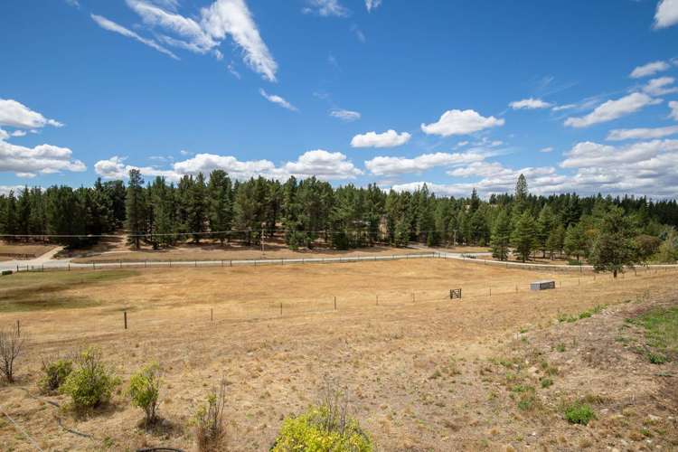 213A Letts Gully Road Alexandra_20