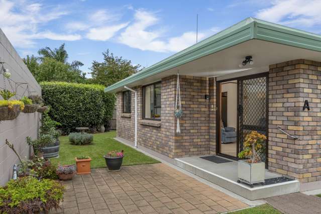 39a Carisbrooke Street Katikati_3