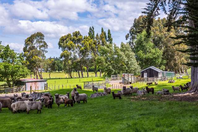 97 Tataramoa Road Rangitikei Surrounds_3