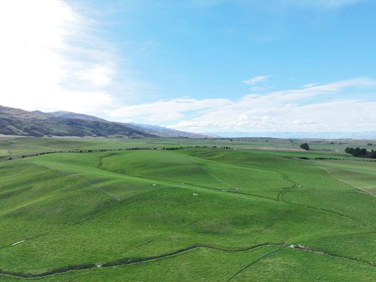 Wallington Road Omakau_5