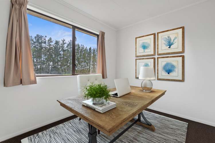 1687 Morrinsville-Walton Road Richmond Downs_10