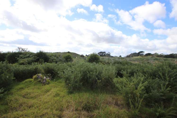 State Highway 1 Waiharara_9
