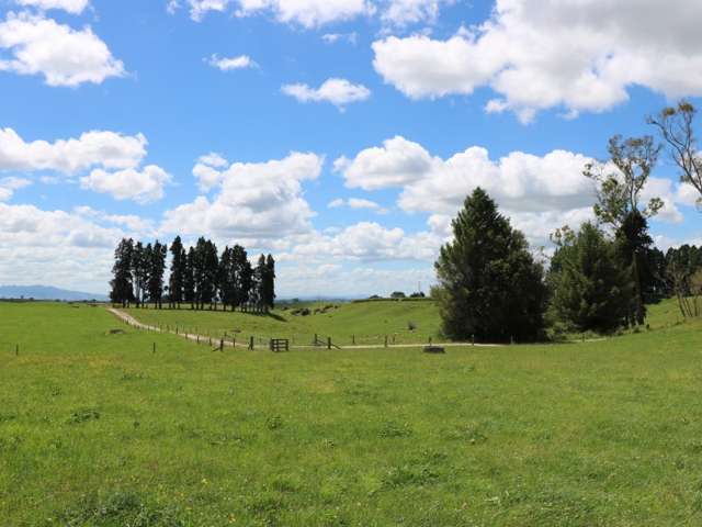 154 Matanuku Road Putaruru_1