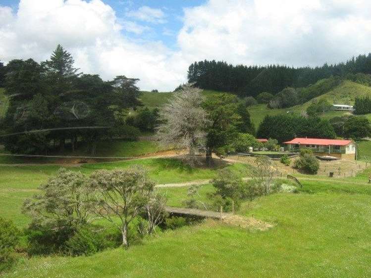 259 Diggers Valley Road Herekino_17