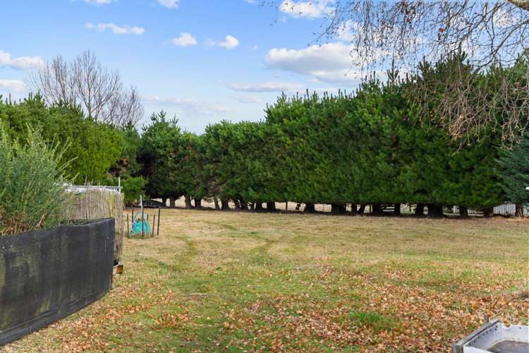 127 Berwick Street Riversdale_18