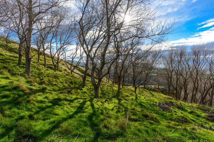 1504 Waimarama Road Waimarama_9