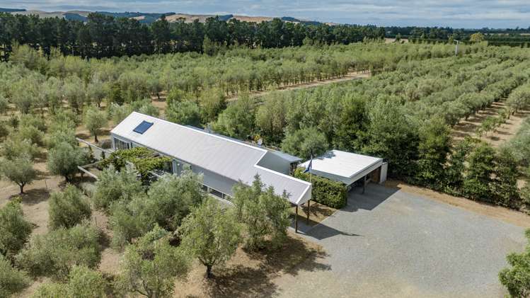 179 Racecourse Road Amberley_24