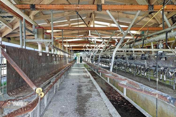 84 Goodwin Road Ohaupo_19