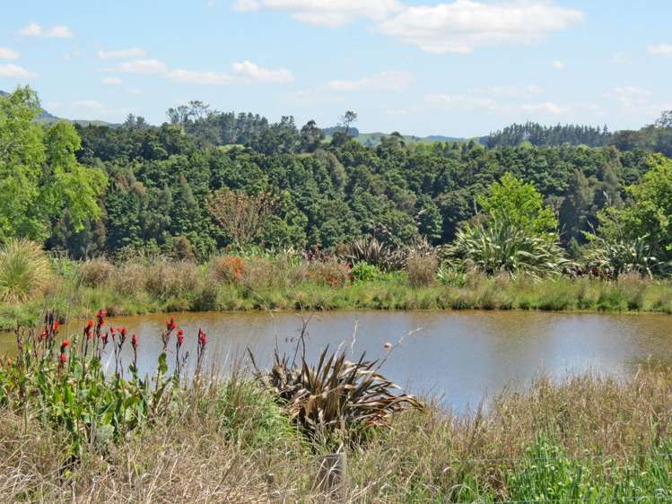 202 Knight Road Ruatangata_15