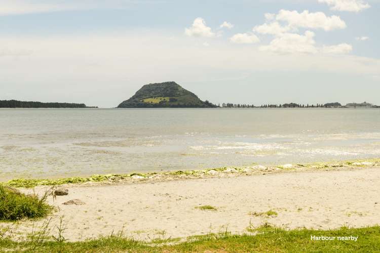 178b Ngatai Road Otumoetai_7