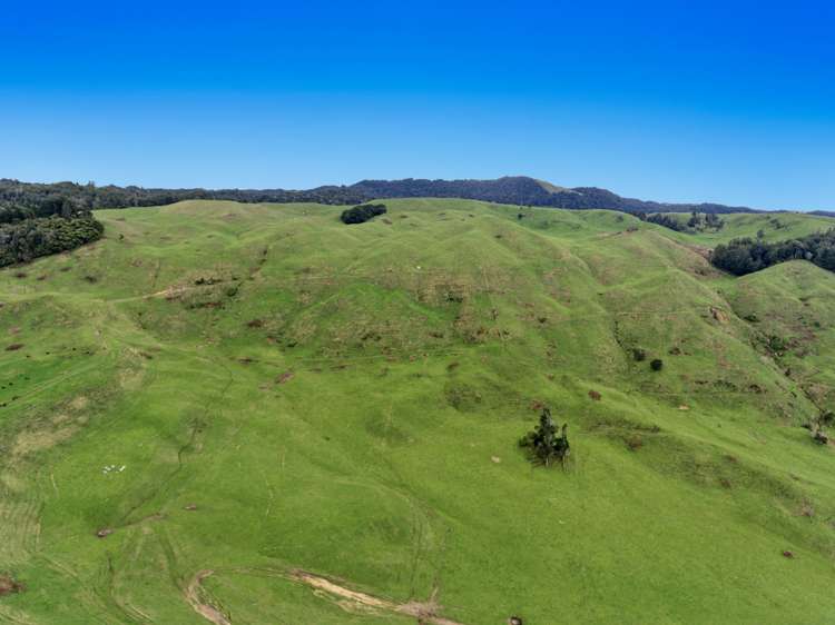 950 Braemar Road Rotoma_10